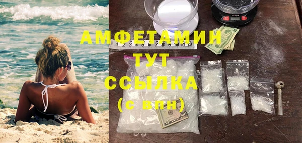 мет Инсар