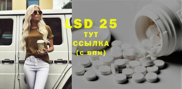 мет Инсар