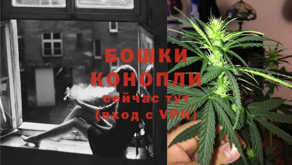 мет Инсар